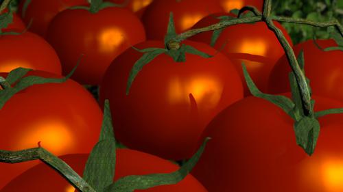 tomatoes preview image